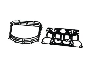 Gasket Set For 696970 Gasket Set